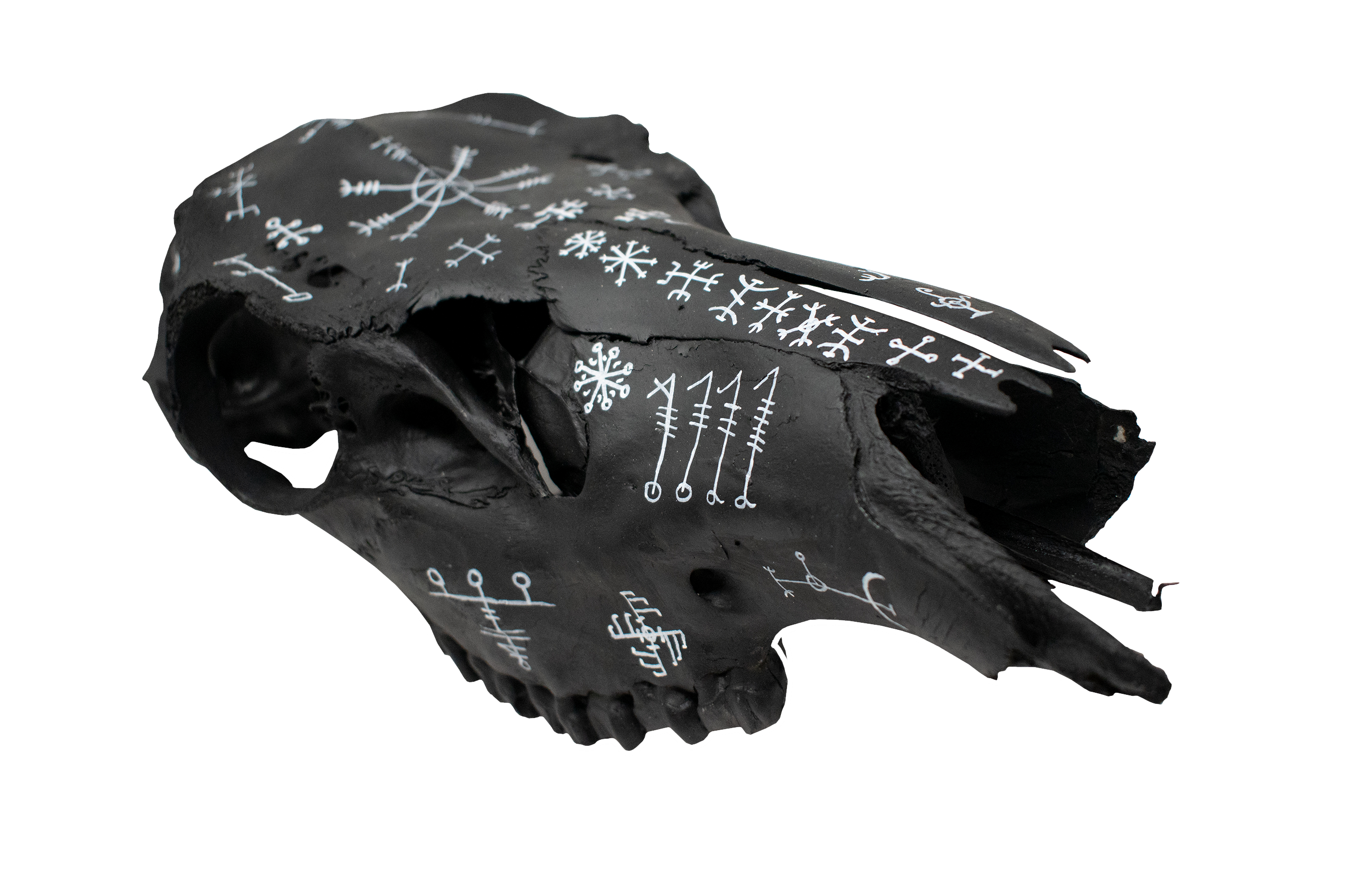 blackened icelandic magical stave elk skull