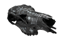 blackened icelandic magical stave elk skull