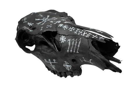 Image of blackened icelandic magical stave elk skull