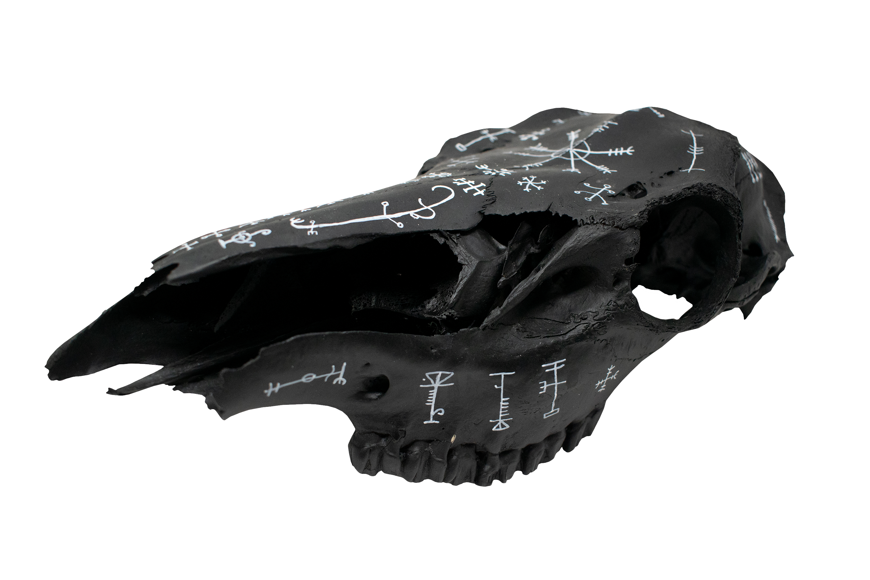 blackened icelandic magical stave elk skull