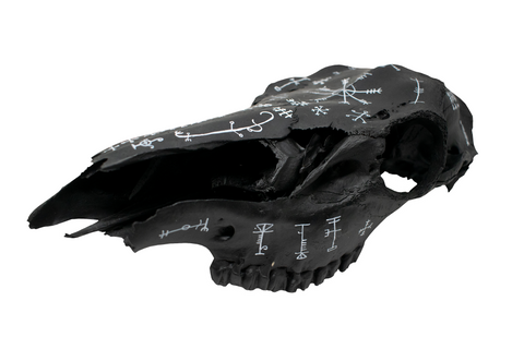 Image of blackened icelandic magical stave elk skull