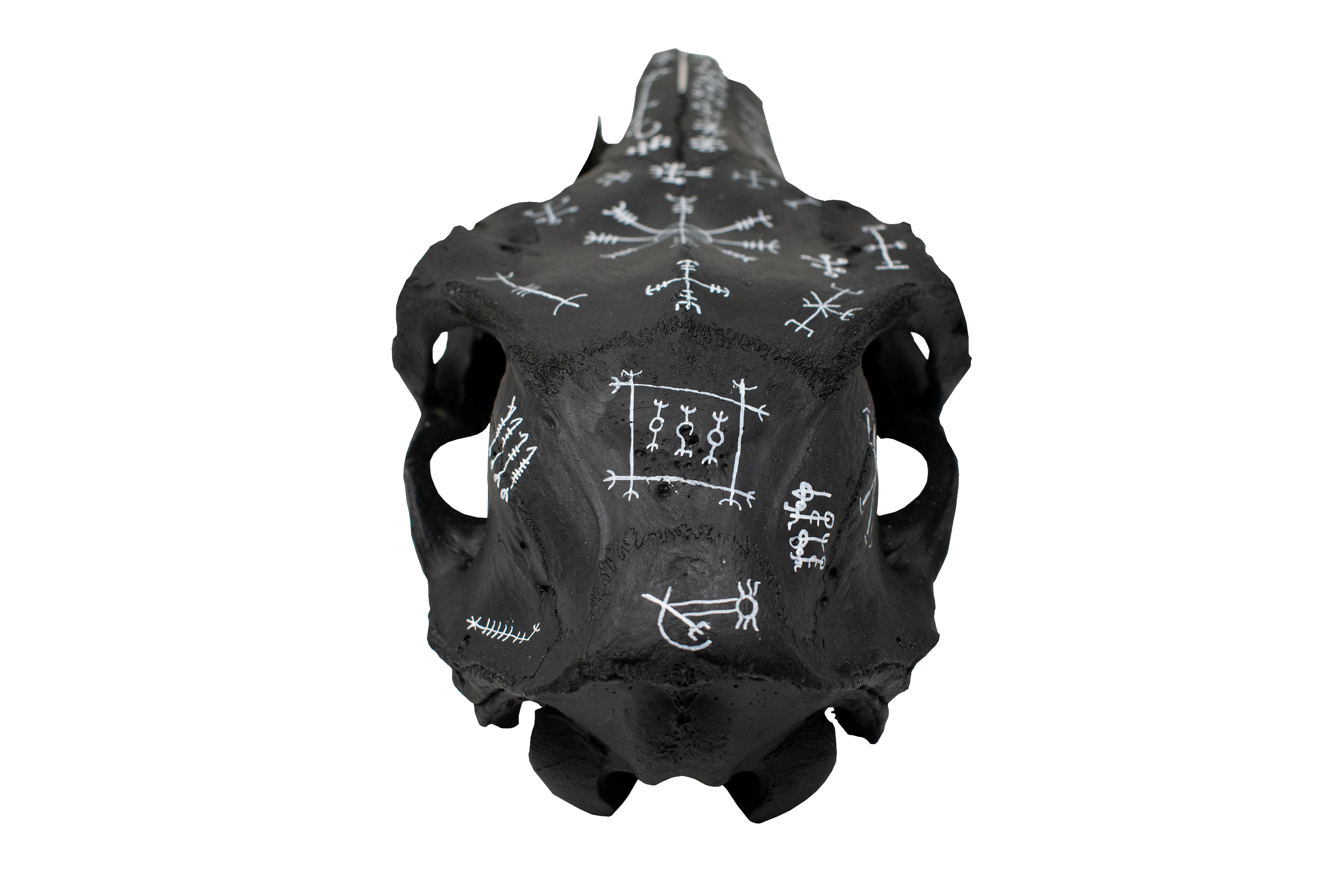 blackened icelandic magical stave elk skull