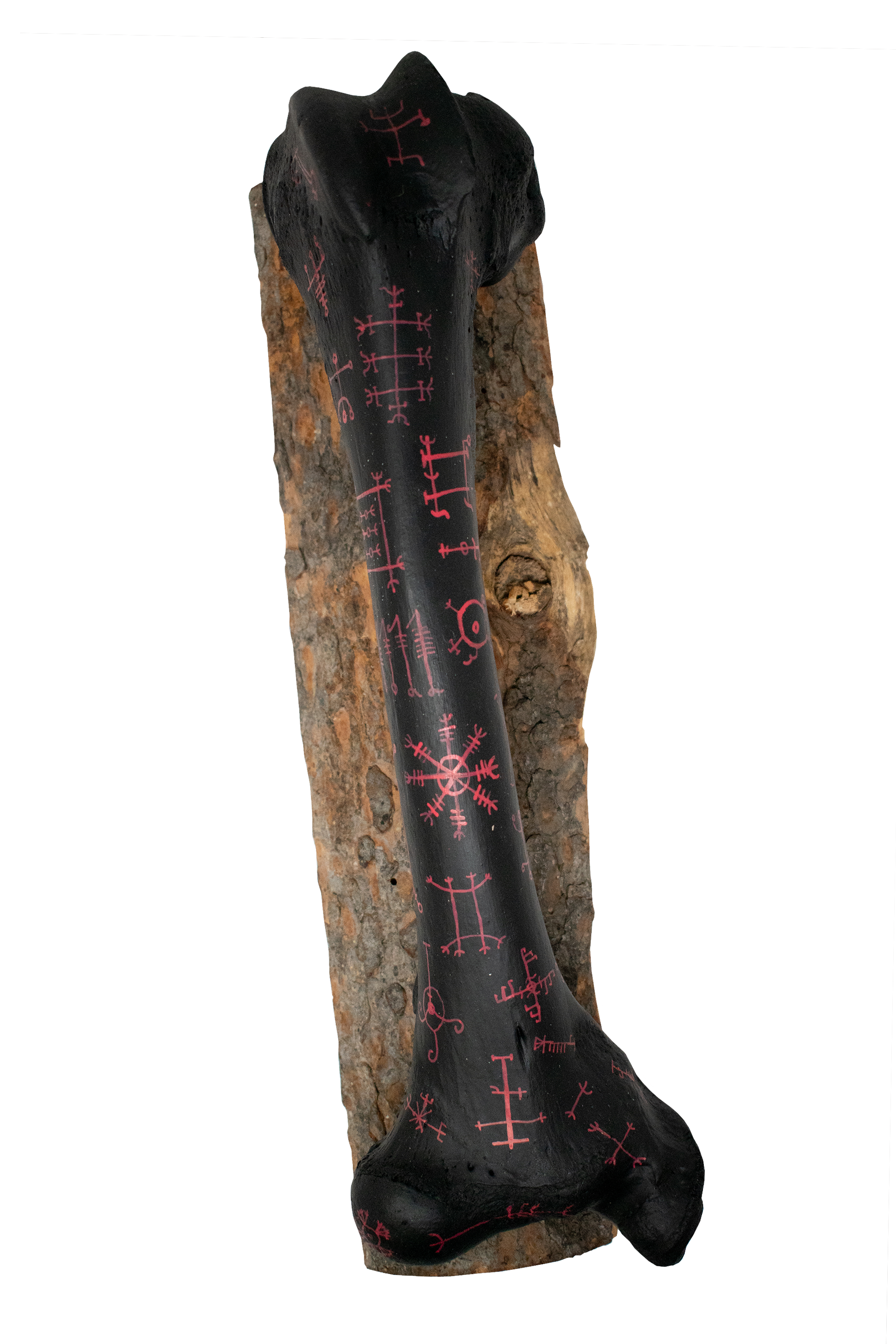 Blackened Cow Leg Bone with Icelandic Magical Staves