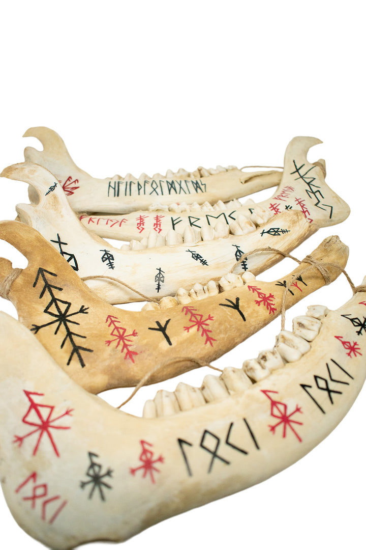 Elk Jawbone Rune Talismans for Norse Ritual and Altar Use