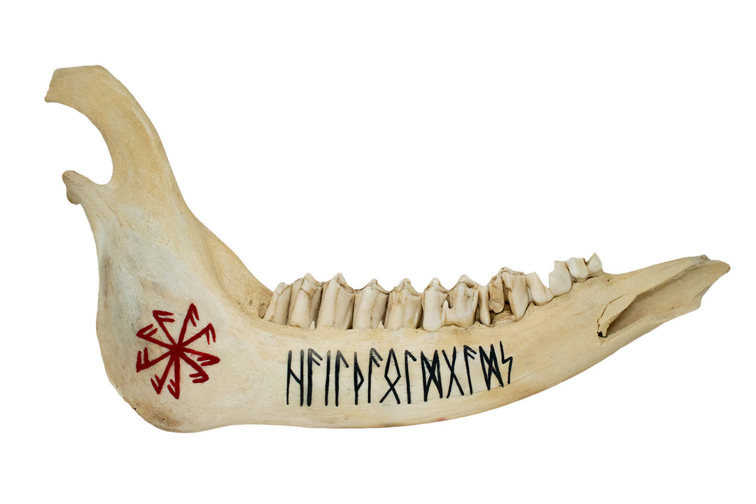 Elk Jawbone Rune Talismans for Norse Ritual and Altar Use