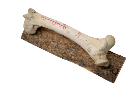 Image of Cow Leg Bone Wall Hanger with Animal Protection Stave