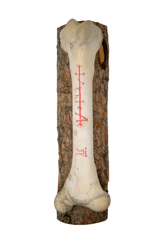 Image of Cow Leg Bone Wall Hanger with Animal Protection Stave