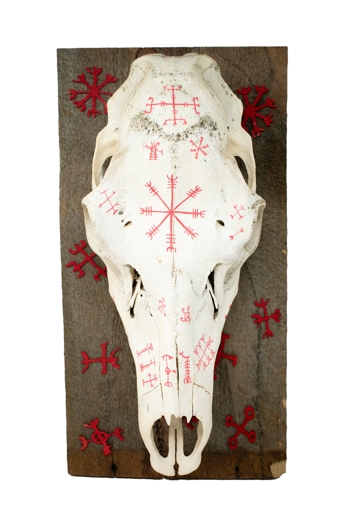 Elk Skull Wall Hanging with Icelandic Magical Staves on Barn Wood