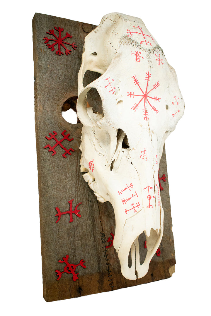 Elk Skull Wall Hanging with Icelandic Magical Staves on Barn Wood