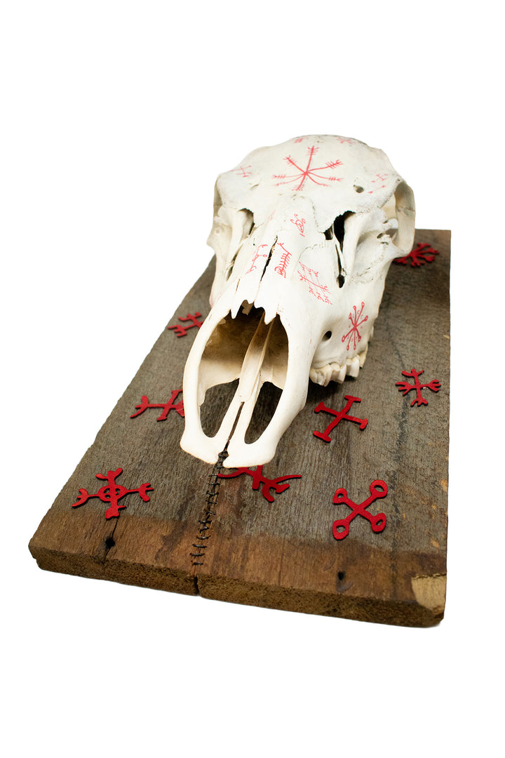 Elk Skull Wall Hanging with Icelandic Magical Staves on Barn Wood