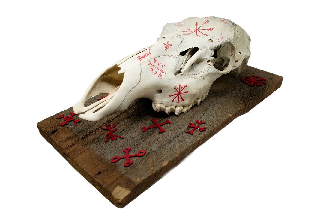 Elk Skull Wall Hanging with Icelandic Magical Staves on Barn Wood