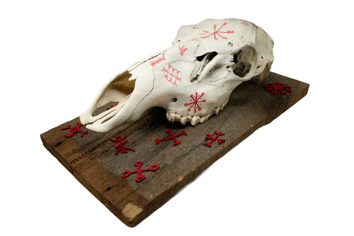 Elk Skull Wall Hanging with Icelandic Magical Staves on Barn Wood