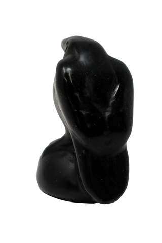 Image of obsidian raven