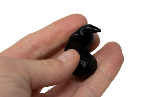 Image of obsidian raven