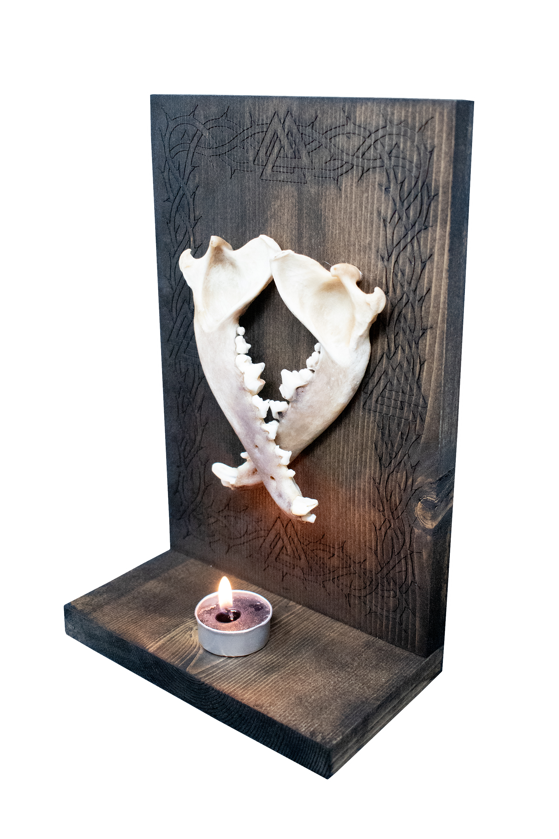 Coyote Jawbone Altar