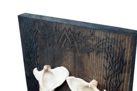 Image of Coyote Jawbone Altar