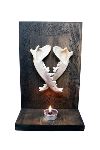 Image of Coyote Jawbone Altar