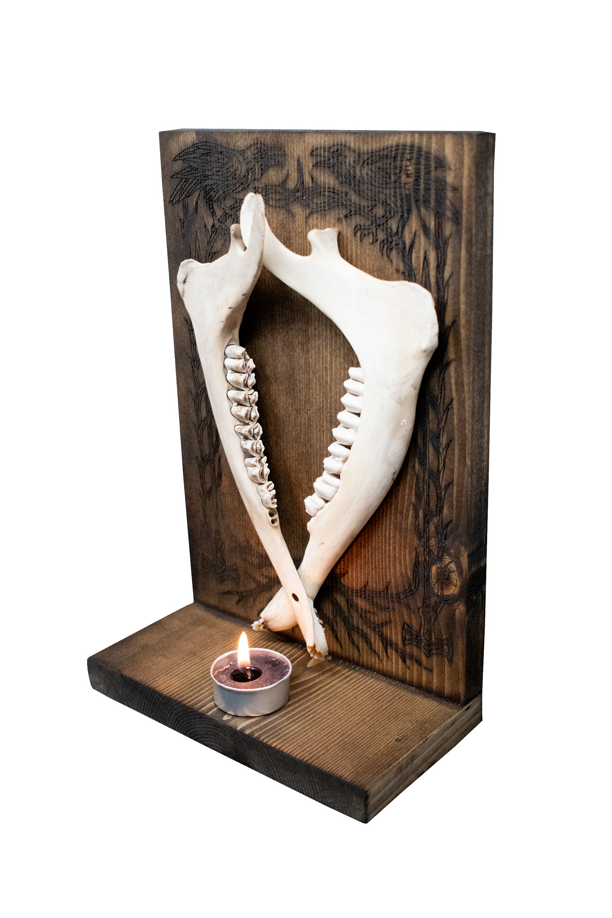 Double deer jaw hugin & munin altar