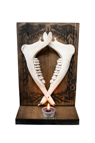Image of Double deer jaw hugin & munin altar
