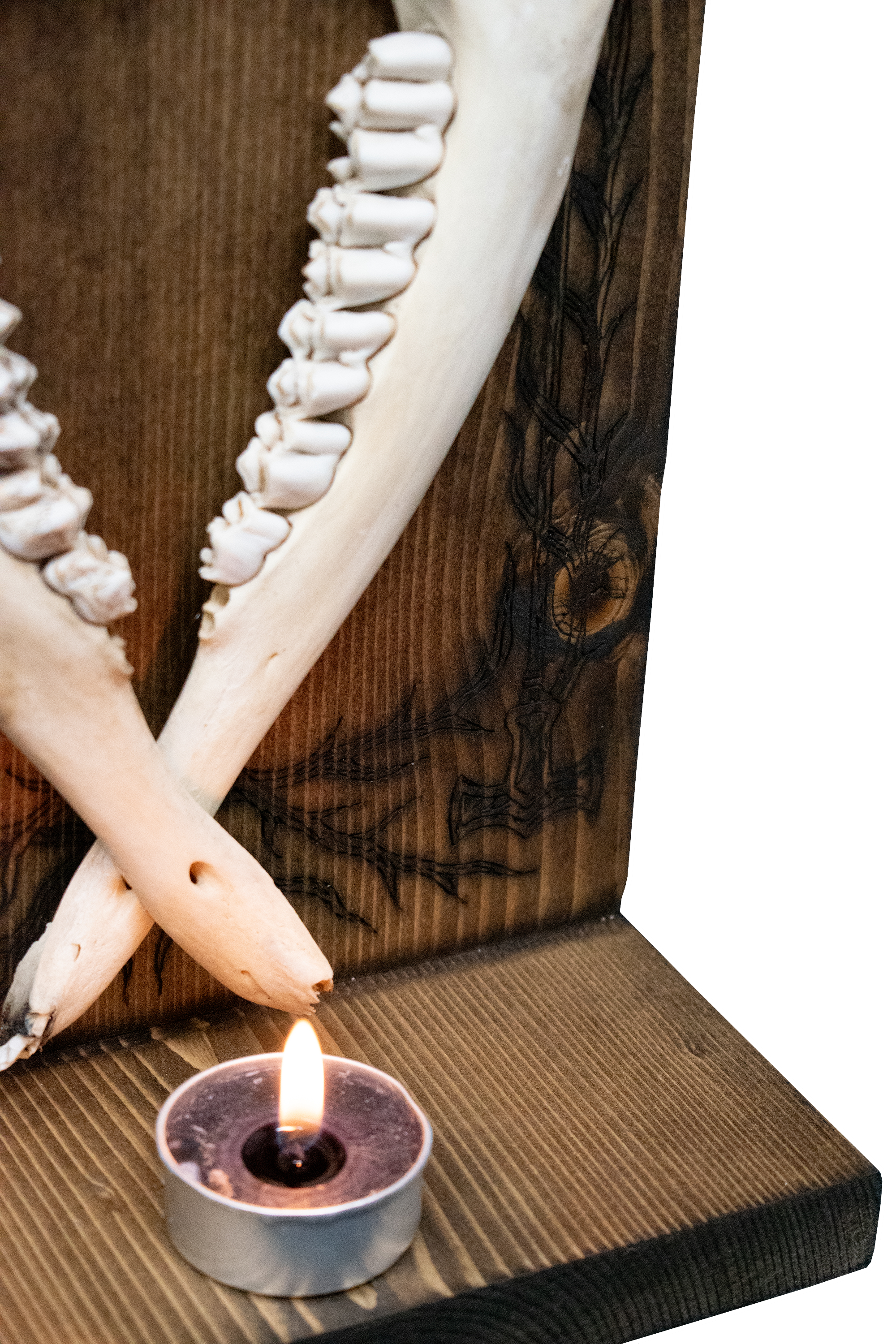 Double deer jaw hugin & munin altar