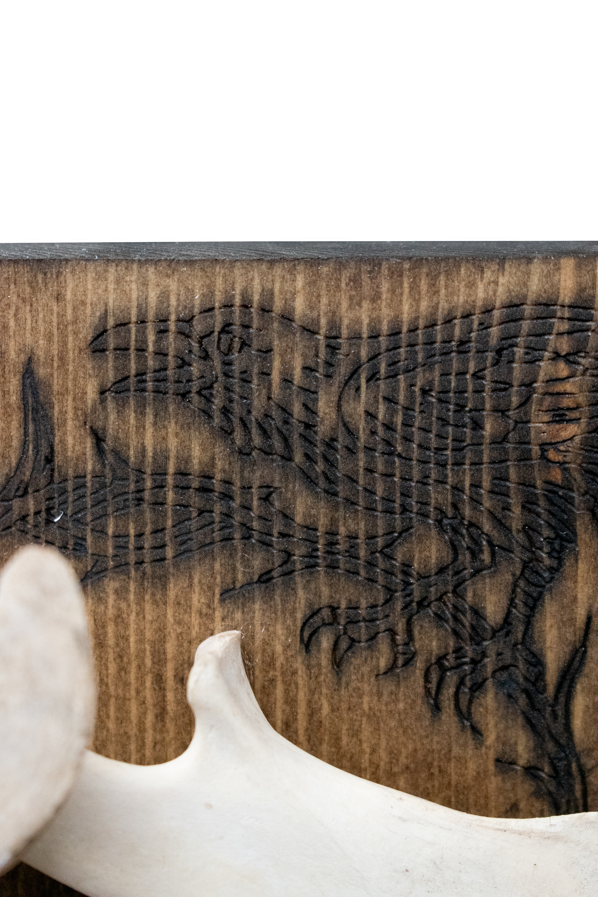 Double deer jaw hugin & munin altar