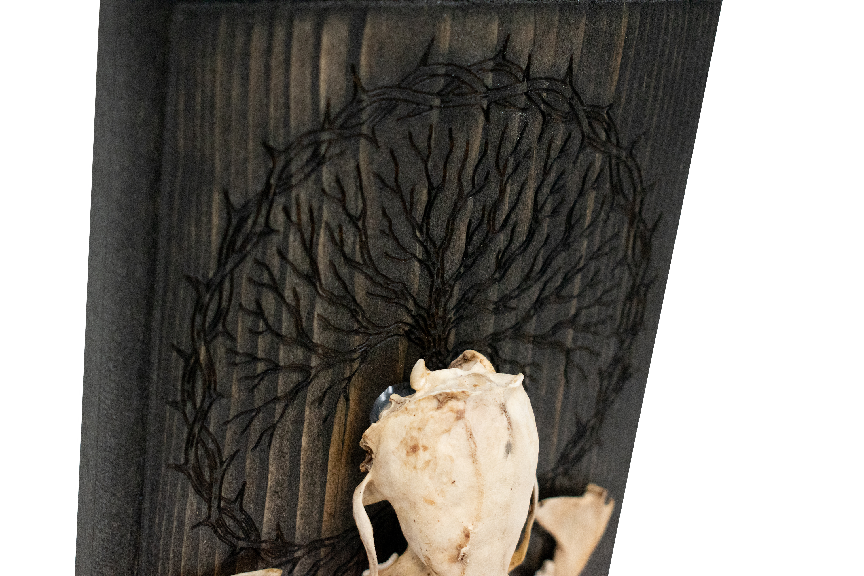 Weasel Skull Yggdrasil Altar