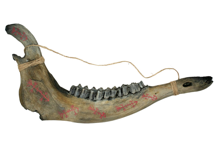 Blackened Elk Jawbone Talisman with Staves For Successful Hunting
