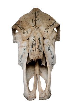 Cow Skull – Freya Bindrunes