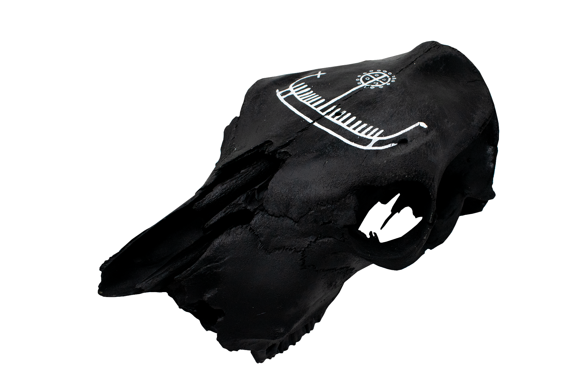 Blackened Cow Skull with Viking Ship Petroglyph