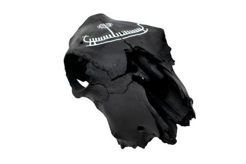 Image of Blackened Cow Skull with Viking Ship Petroglyph