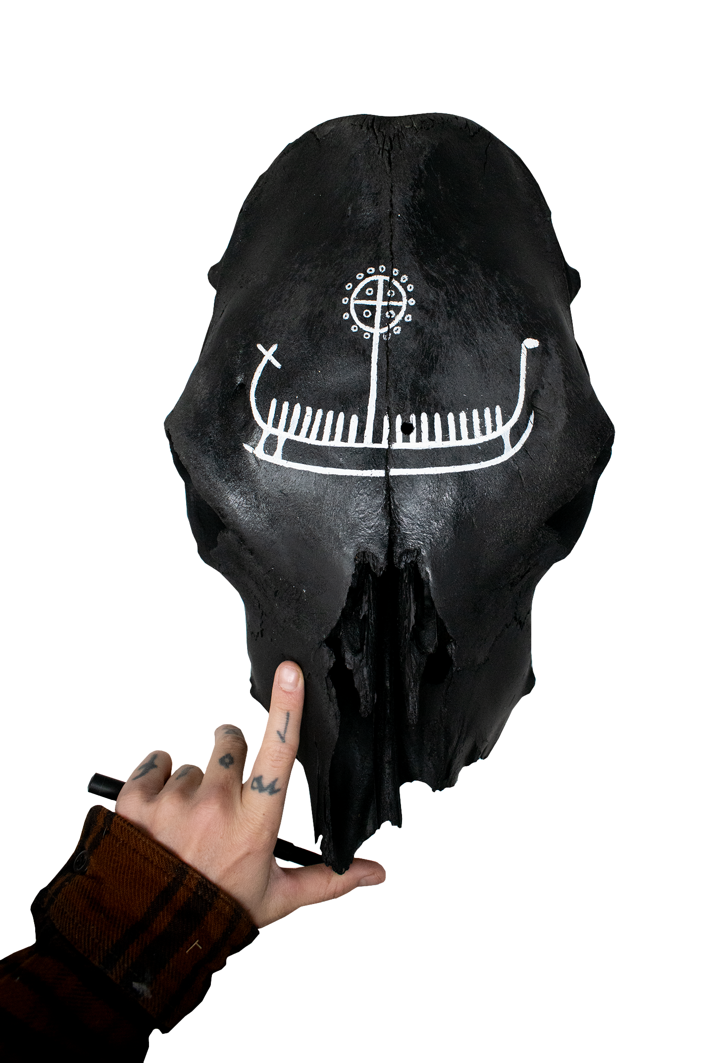 Blackened Cow Skull with Viking Ship Petroglyph