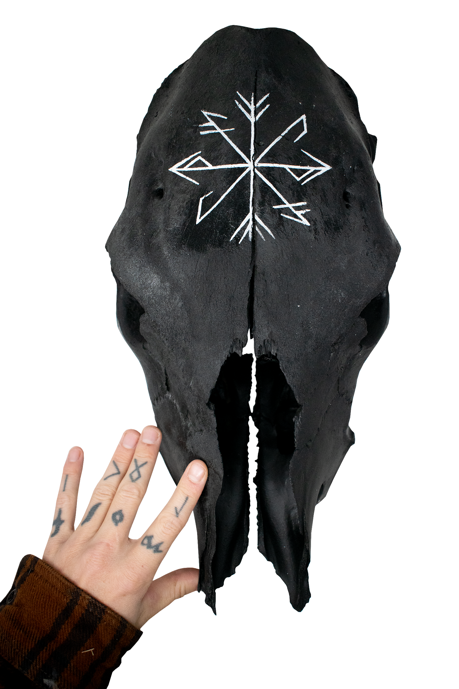 Cow Skull with Strength & Growth Stave