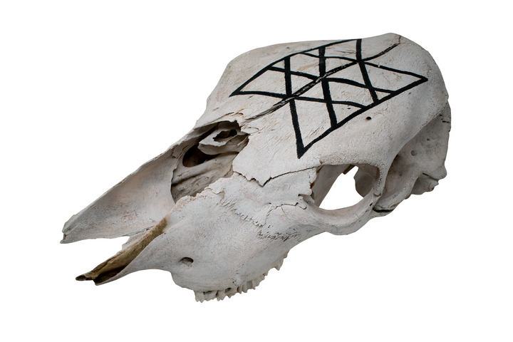 Cow Skull – Web of Wyrd