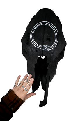 Blackened Cow Skull – Ouroboros