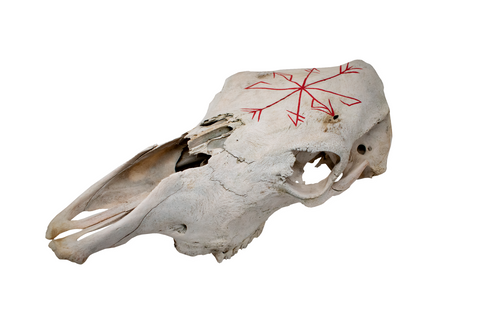 Image of Cow Skull – Strength & Growth Stave (red)