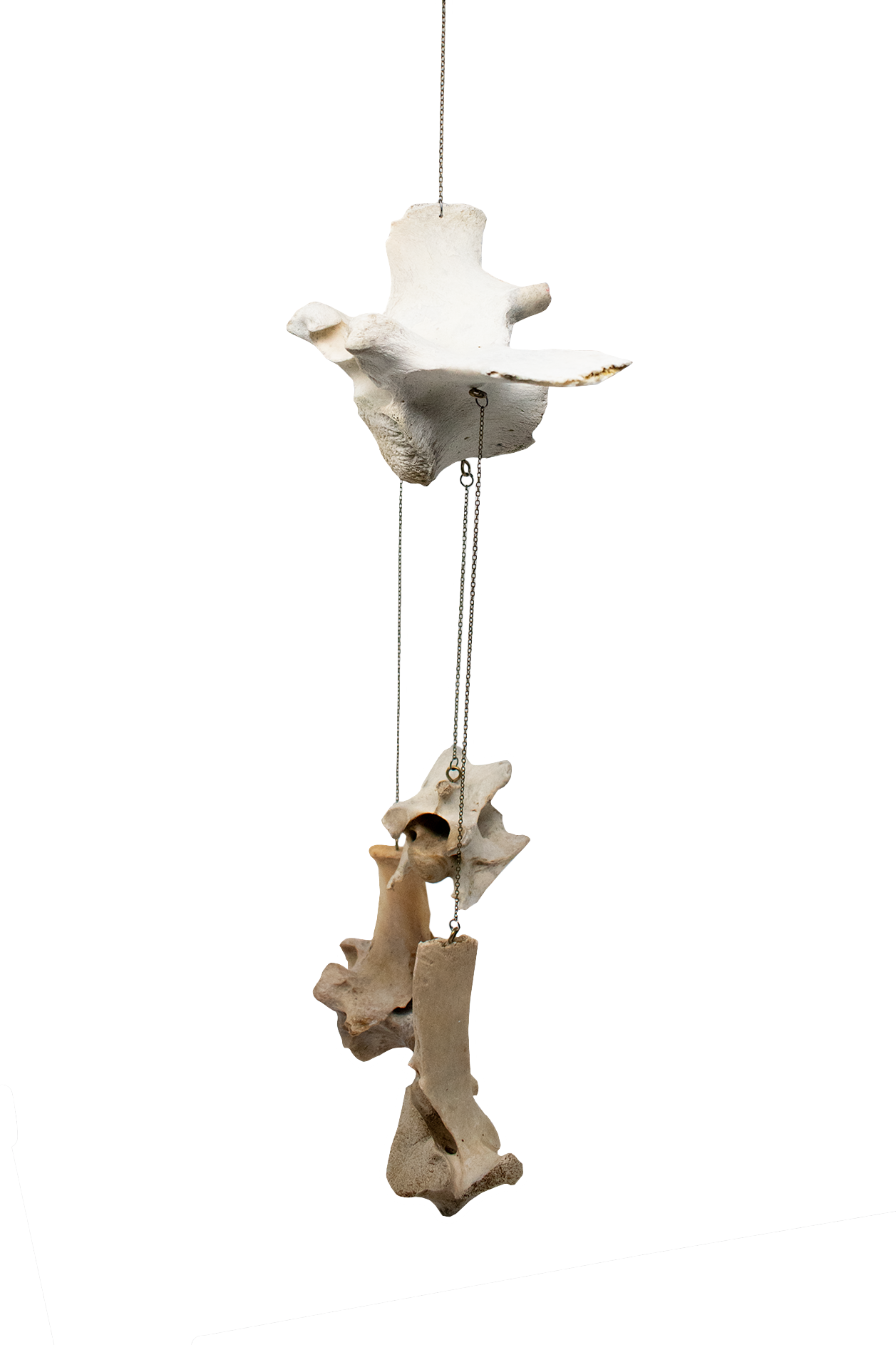 Elk Bone Wind Chime