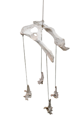 Coyote Bone Wind Chime