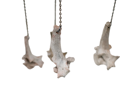 Image of Coyote Bone Wind Chime