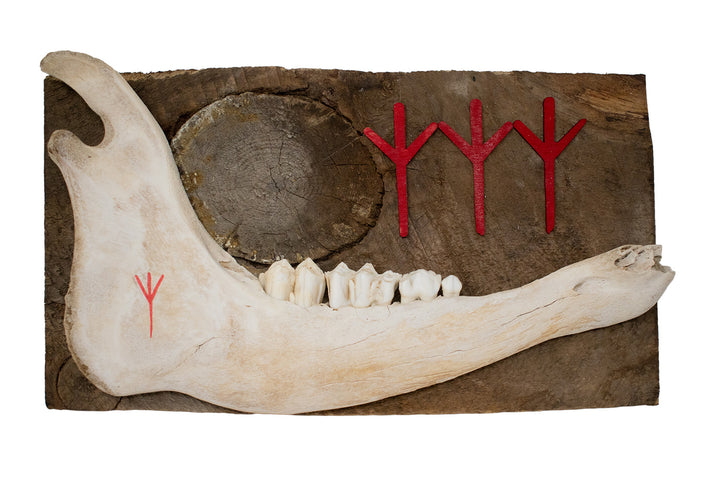 Calf Jawbone Algiz Rune Barn Wood Wall Hanger