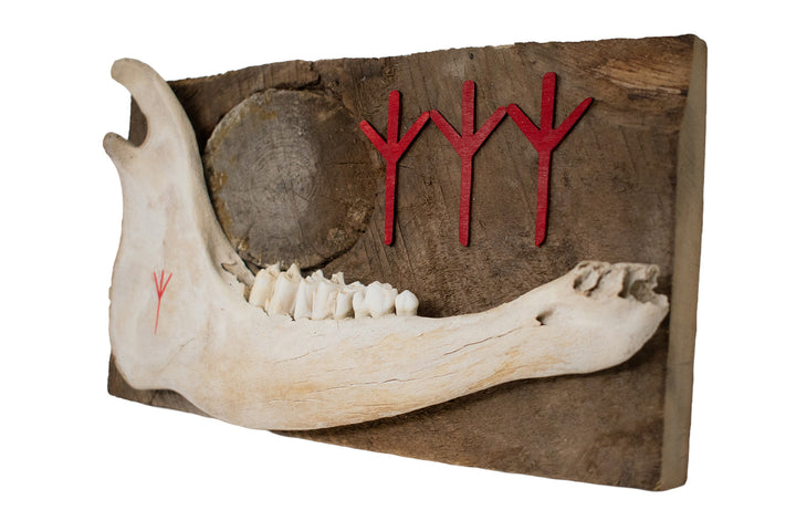 Calf Jawbone Algiz Rune Barn Wood Wall Hanger