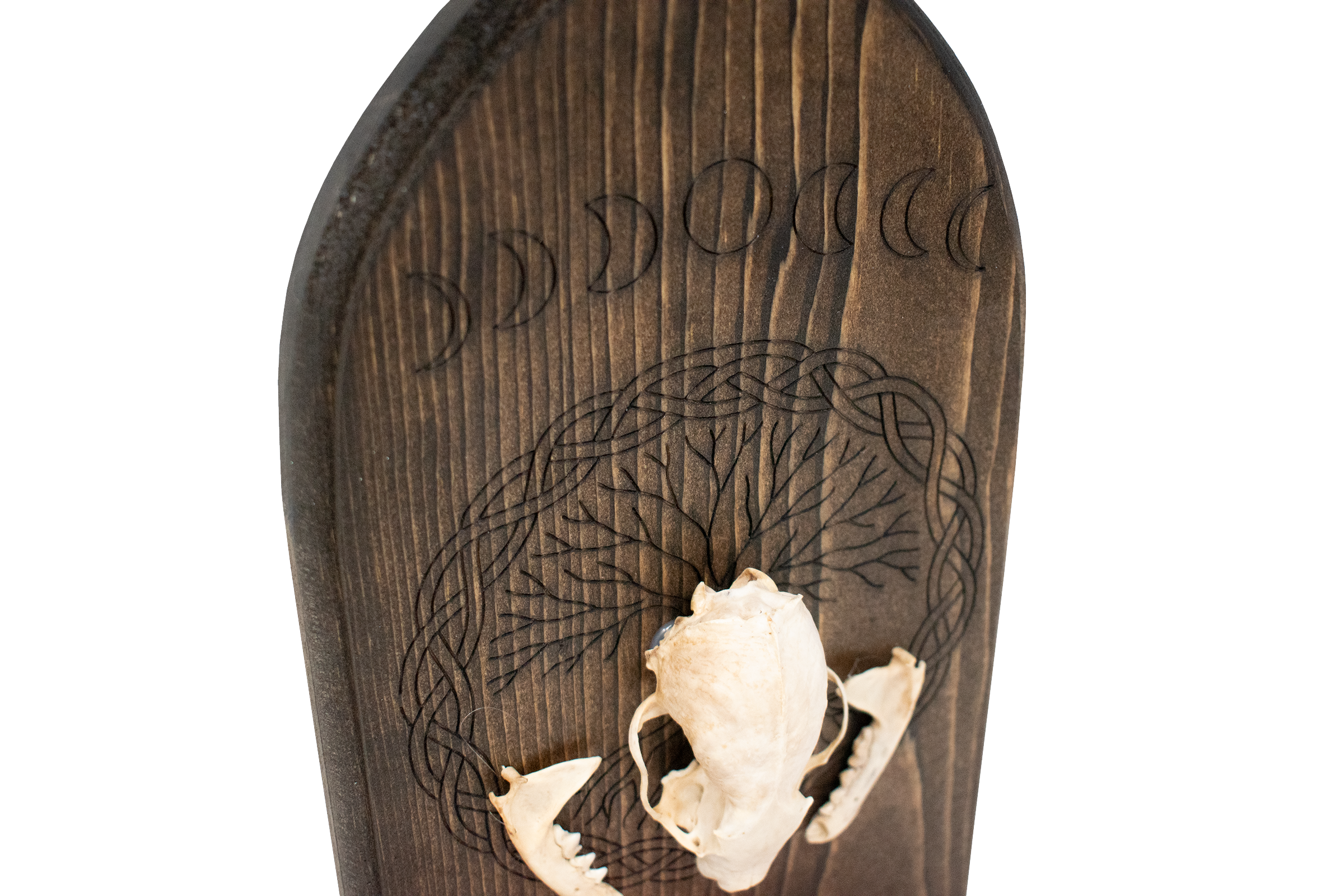 Weasel Skull Altar – Moon Phases & Yggdrasil