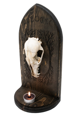Coyote Skull Altar – Yggdrasil & Moon Phases