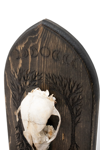 Image of Coyote Skull Altar – Yggdrasil & Moon Phases