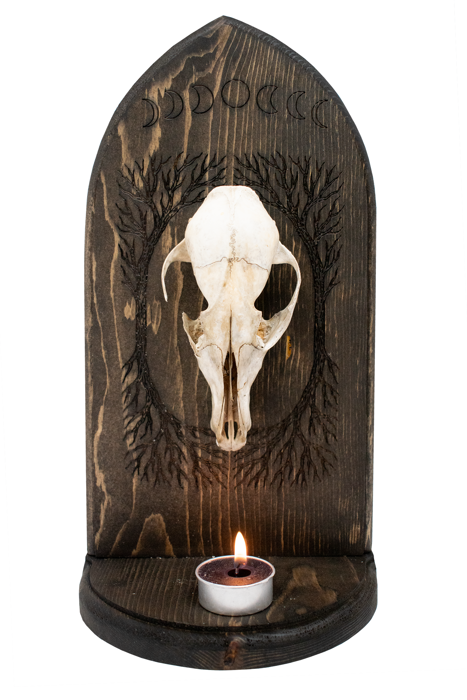 Coyote Skull Altar – Yggdrasil & Moon Phases