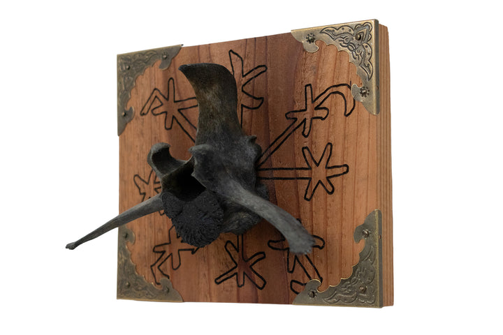 Blackened Elk Vertebra Þjófastafur Wall Hanger