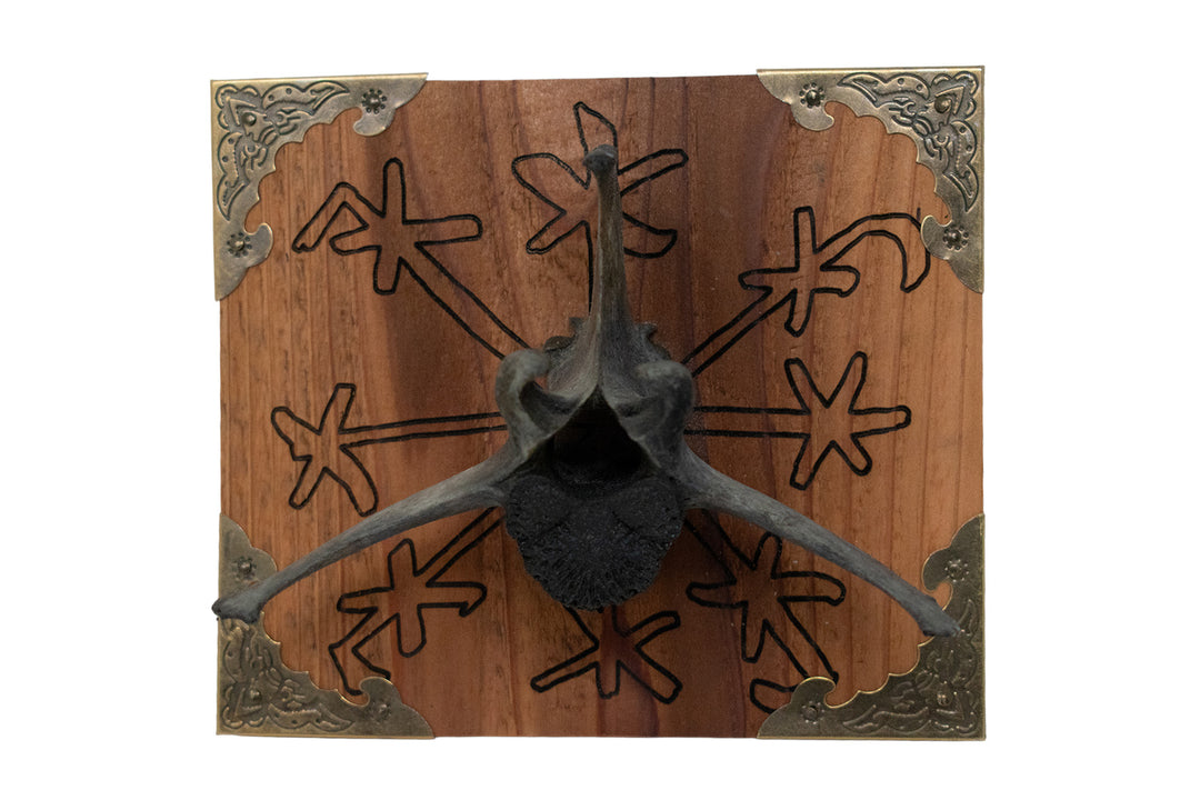 Blackened Elk Vertebra Þjófastafur Wall Hanger