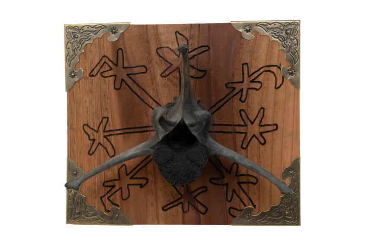 Blackened Elk Vertebra Þjófastafur Wall Hanger
