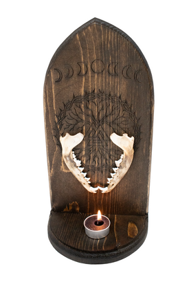 Coyote jawbone Altar – Moon Phases & Yggdrasil