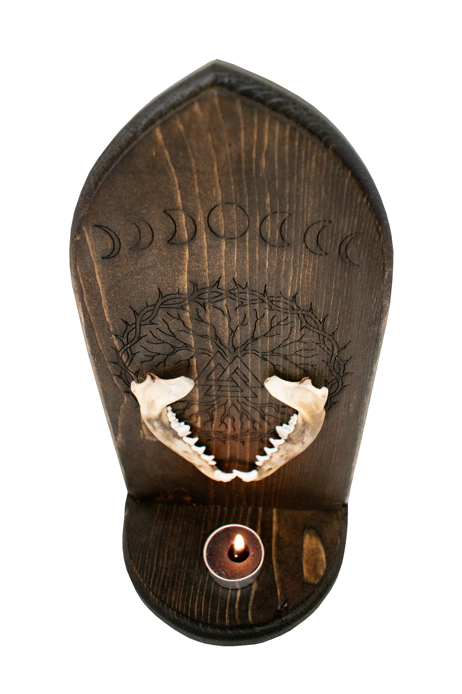Coyote jawbone Altar – Moon Phases & Yggdrasil