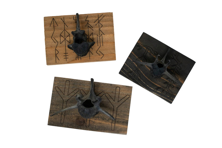 Blackened Deer Vertebra Wall Hangers